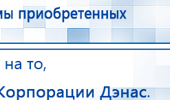 СКЭНАР-1-НТ (исполнение 02.1) Скэнар Про Плюс купить в Талице, Аппараты Скэнар купить в Талице, Скэнар официальный сайт - denasvertebra.ru