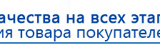 Пояс электрод купить в Талице, Электроды Меркурий купить в Талице, Скэнар официальный сайт - denasvertebra.ru
